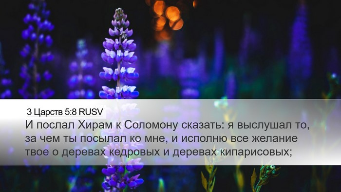 3 Царств 5:8 RUSV Bible Verse Image