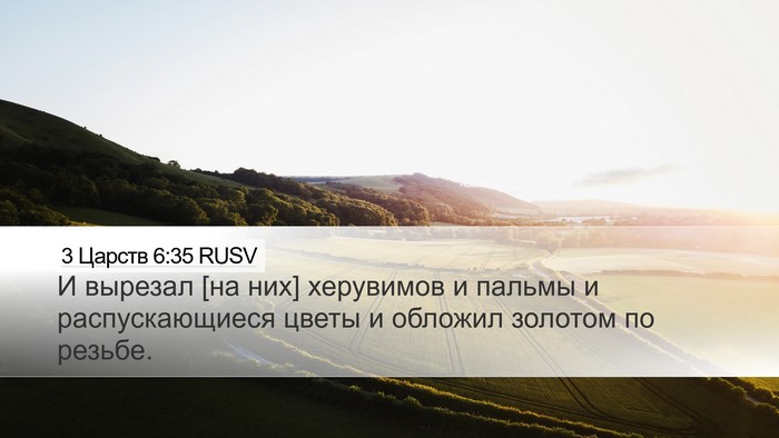 3 Царств 6:35 RUSV Bible Verse Image
