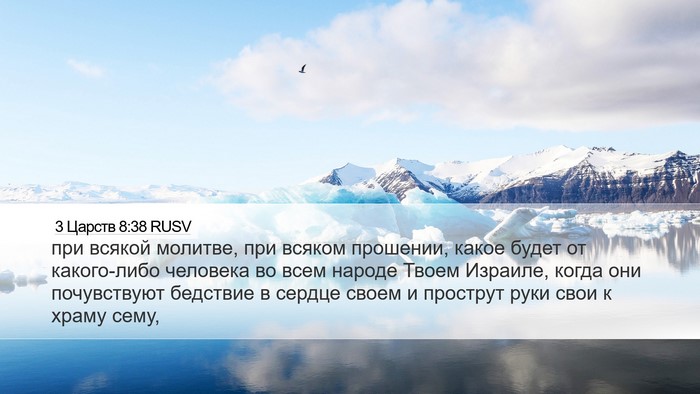 3 Царств 8:38 RUSV Bible Verse Image