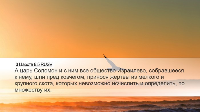 3 Царств 8:5 RUSV Bible Verse Image