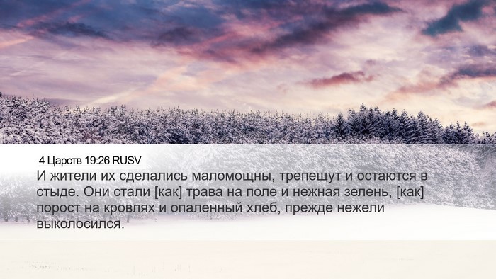 4 Царств 19:26 RUSV Bible Verse Image