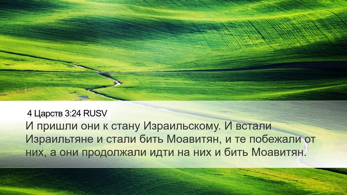 4 Царств 3:24 RUSV Bible Verse Image