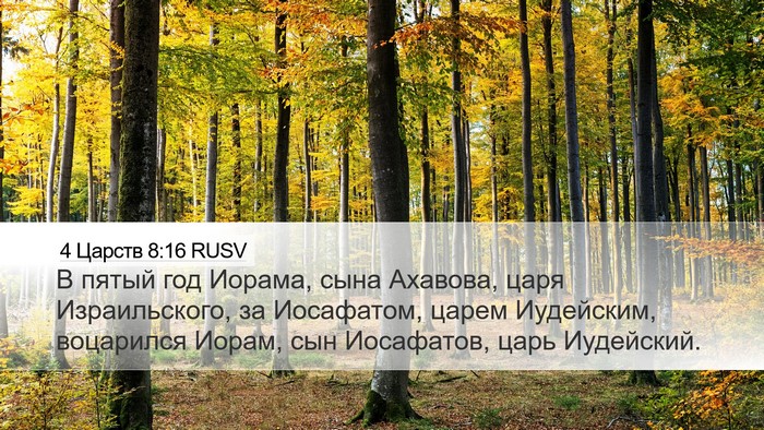 4 Царств 8:16 RUSV Bible Verse Image