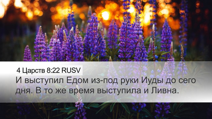 4 Царств 8:22 RUSV Bible Verse Image