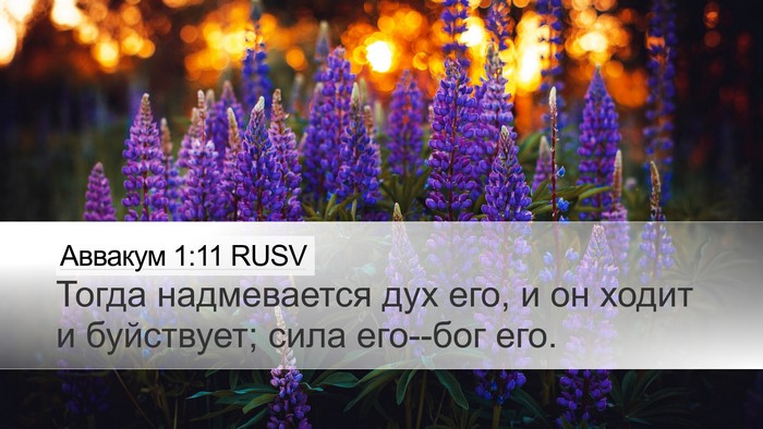 Аввакум 1:11 RUSV Bible Verse Image