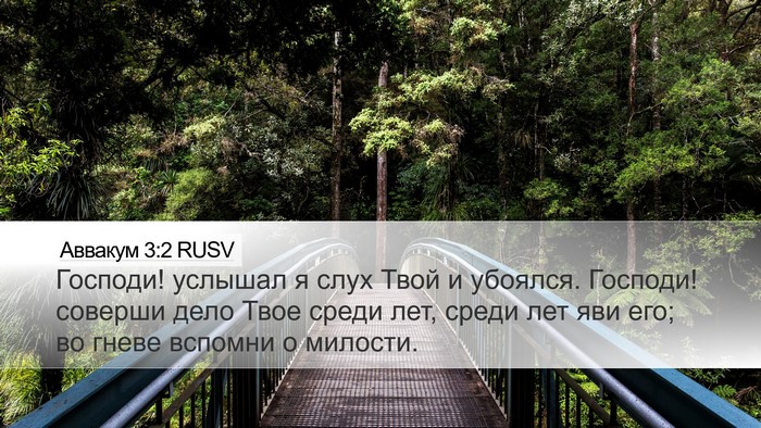 Аввакум 3:2 RUSV Bible Verse Image