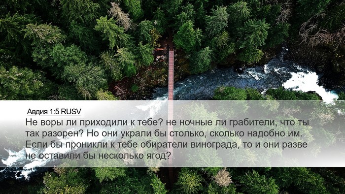 Авдия 1:5 RUSV Bible Verse Image