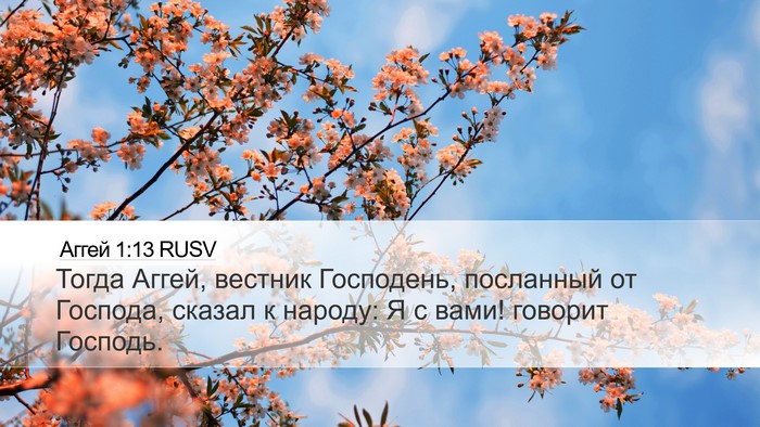 Аггей 1:13 RUSV Bible Verse Image