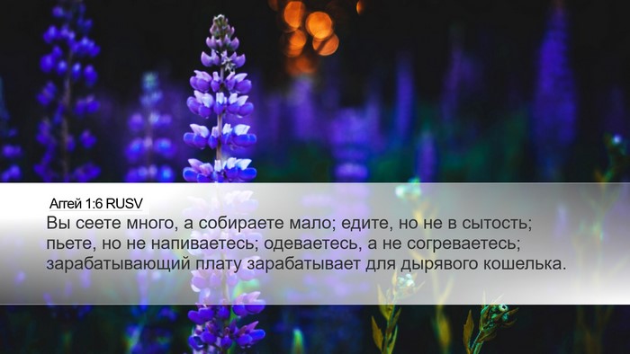 Аггей 1:6 RUSV Bible Verse Image