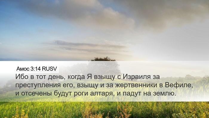 Амос 3:14 RUSV Bible Verse Image