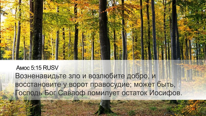 Амос 5:15 RUSV Bible Verse Image