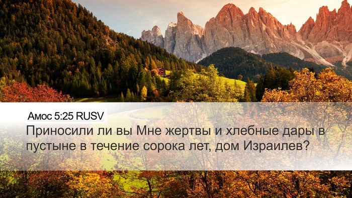 Амос 5:25 RUSV Bible Verse Image