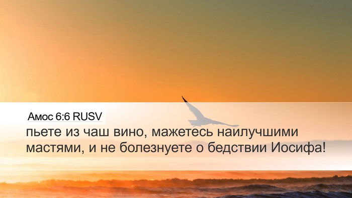 Амос 6:6 RUSV Bible Verse Image
