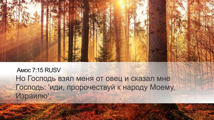 Амос 7:15 RUSV Bible Verse Image