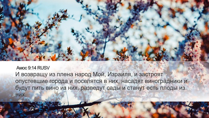 Амос 9:14 RUSV Bible Verse Image