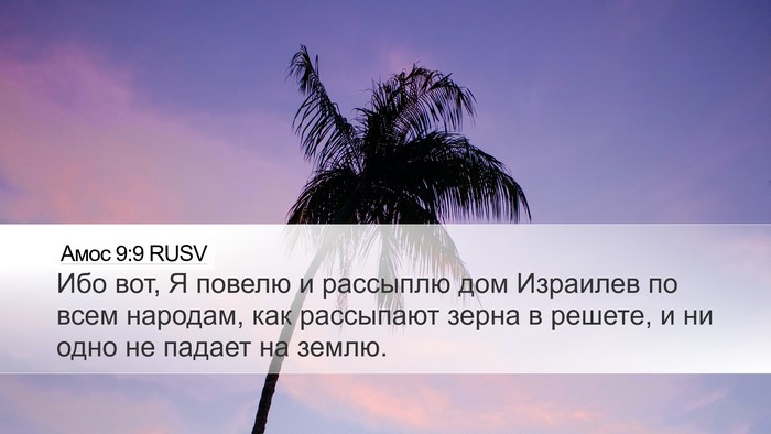 Амос 9:9 RUSV Bible Verse Image