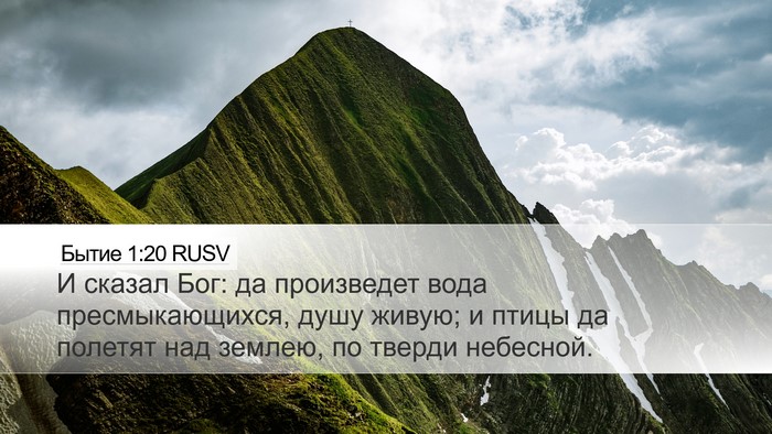 Бытие 1:20 RUSV Bible Verse Image