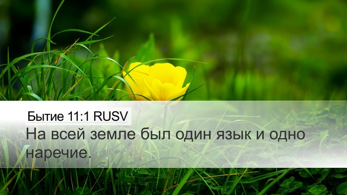 Бытие 11:1 RUSV Desktop Wallpaper - На всей земле был один язык - Desktop Bible Verse Wallpaper