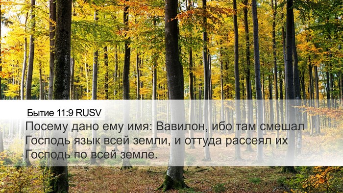Бытие 11:9 RUSV Bible Verse Image