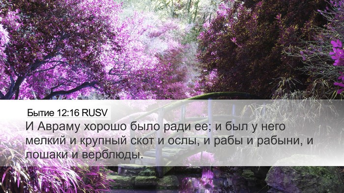 Бытие 12:16 RUSV Bible Verse Image