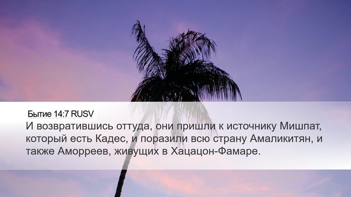 Бытие 14:7 RUSV Bible Verse Image