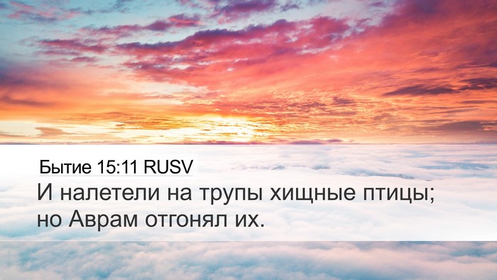 Бытие 15:11 RUSV Bible Verse Image