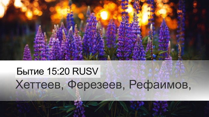 Бытие 15:20 RUSV Bible Verse Image