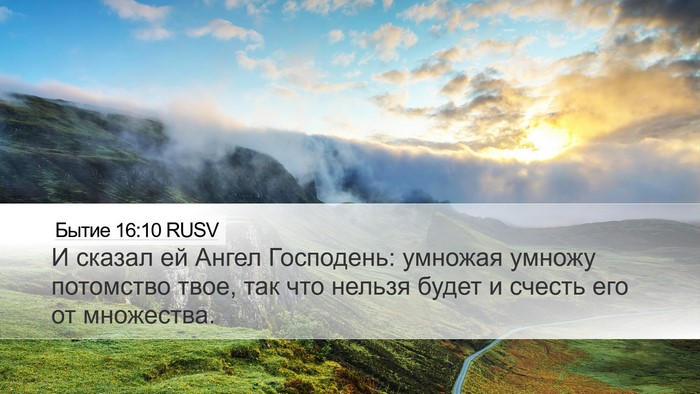 Бытие 16:10 RUSV Bible Verse Image