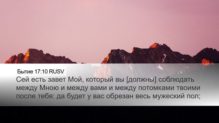 Бытие 17:10 RUSV Bible Verse Image