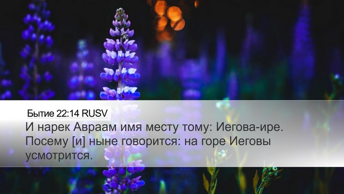 Бытие 22:14 RUSV Bible Verse Image