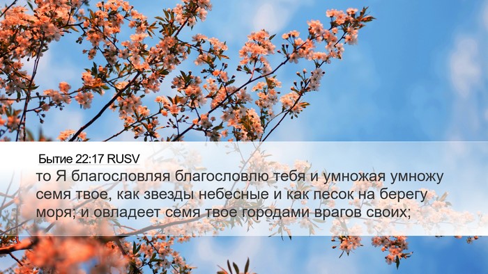 Бытие 22:17 RUSV Bible Verse Image