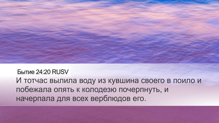 Бытие 24:20 RUSV Desktop Wallpaper - И тотчас вылила воду из - Desktop Bible Verse Wallpaper