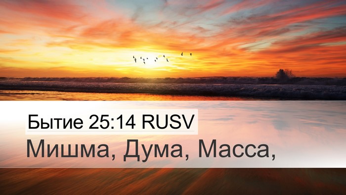Бытие 25:14 RUSV Bible Verse Image