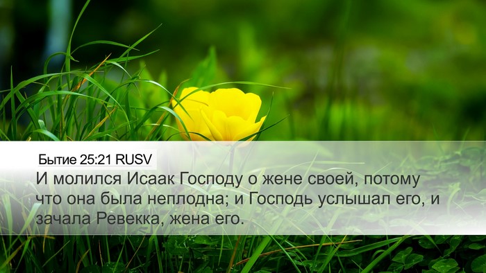 Бытие 25:21 RUSV Bible Verse Image