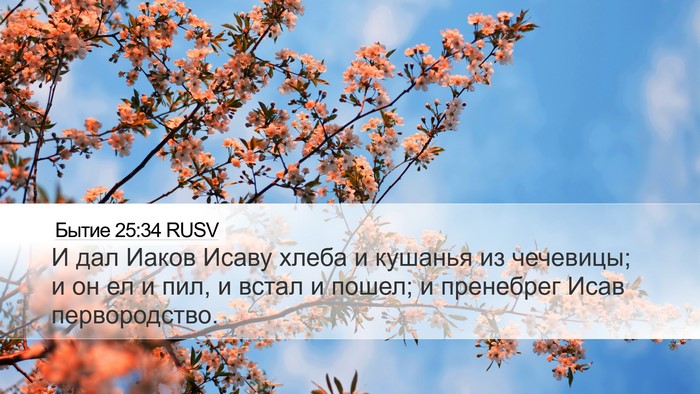 Бытие 25:34 RUSV Bible Verse Image