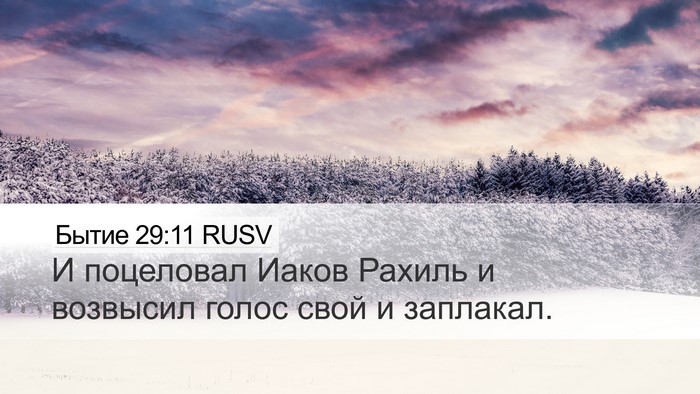 Бытие 29:11 RUSV Bible Verse Image