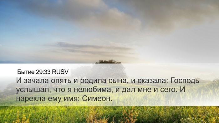 Бытие 29:33 RUSV Bible Verse Image