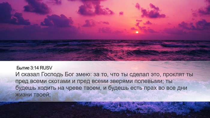 Бытие 3:14 RUSV Bible Verse Image