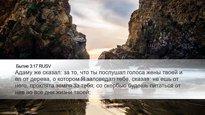 Бытие 3:17 RUSV Bible Verse Image