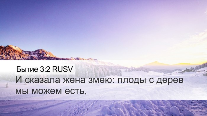 Бытие 3:2 RUSV Desktop Wallpaper - И сказала жена змею: плоды - Desktop Bible Verse Wallpaper