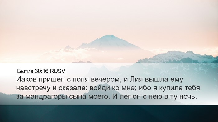 Бытие 30:16 RUSV Desktop Wallpaper - Иаков пришел с поля - Desktop Bible Verse Wallpaper