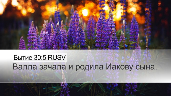 Бытие 30:5 RUSV Bible Verse Image