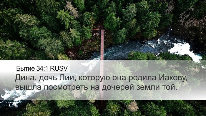 Бытие 34:1 RUSV Desktop Wallpaper - Дина, дочь Лии, которую она - Desktop Bible Verse Wallpaper