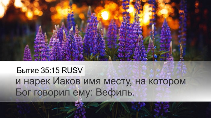 Бытие 35:15 RUSV Desktop Wallpaper - и нарек Иаков имя месту, на - Desktop Bible Verse Wallpaper