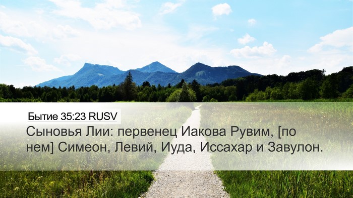 Бытие 35:23 RUSV Bible Verse Image