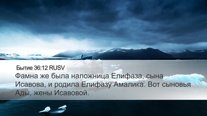 Бытие 36:12 RUSV Bible Verse Image