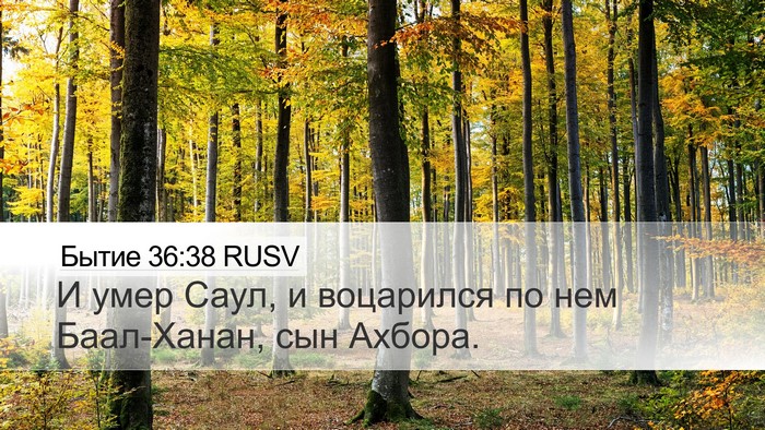 Бытие 36:38 RUSV Desktop Wallpaper - И умер Саул, и воцарился по - Desktop Bible Verse Wallpaper