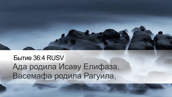 Бытие 36:4 RUSV Bible Verse Image
