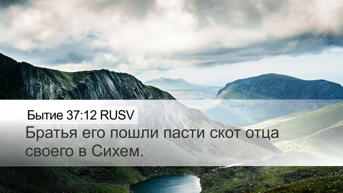 Бытие 37:12 RUSV Bible Verse Image