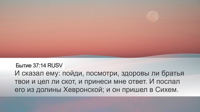 Бытие 37:14 RUSV Bible Verse Image